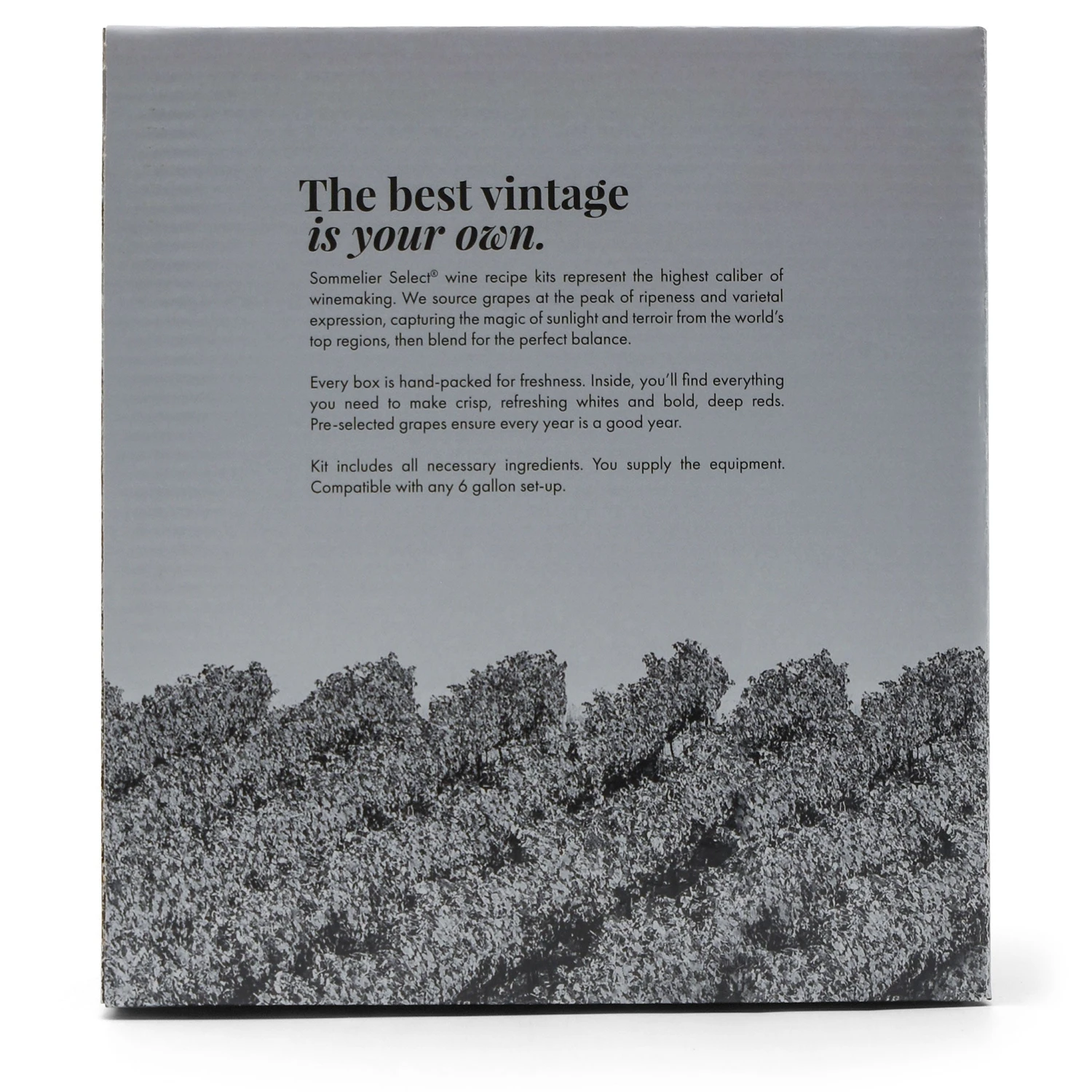 Old Vine Merlot (6G) Wine Kit - Master Vintner® Sommelier Select® 6 Old Vine Merlot (6G) Wine Kit - Master Vintner® Sommelier Select® - Image 4