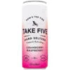 TAKE FIVE Cranberry Raspberry Hard Seltzer 6-Pack -Liquor Store take five cranberry raspberry hard seltzer 6 pack 1